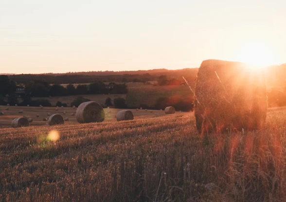 Giải pháp & Sản xuất